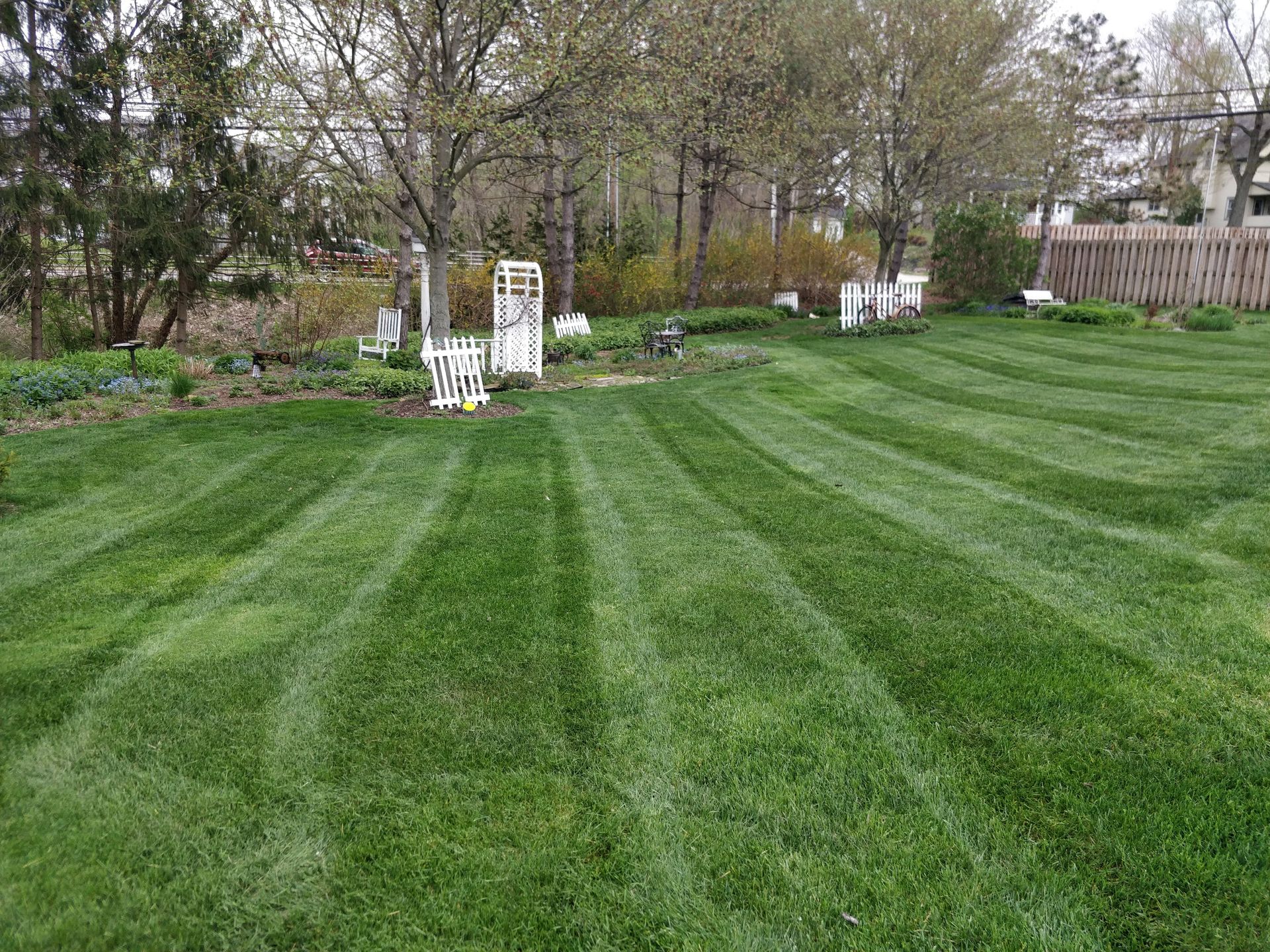 Spring 2020 lawn restoration