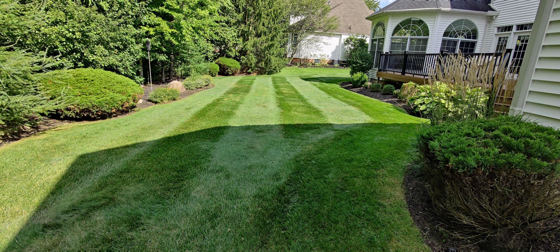 Full lawn service 2024