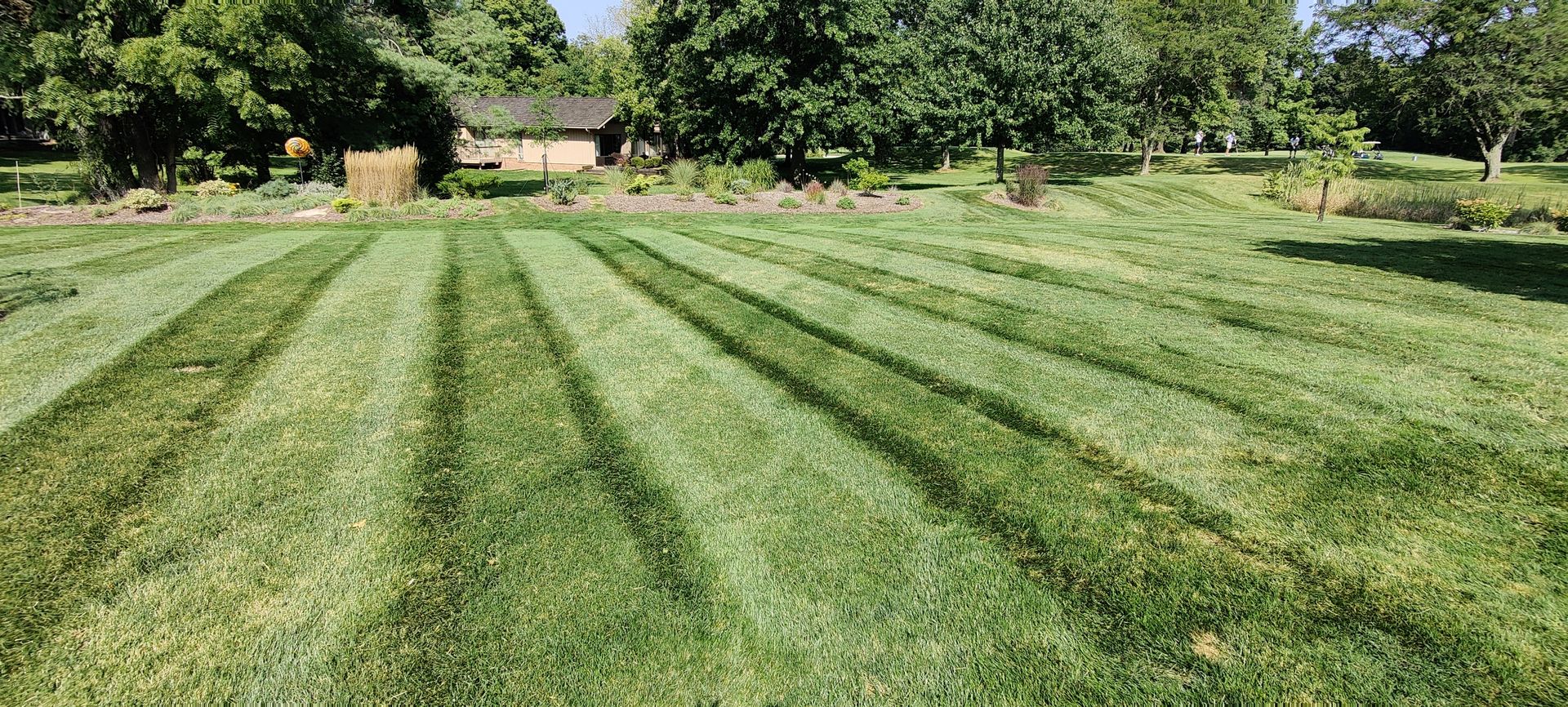 End of summer lawn care