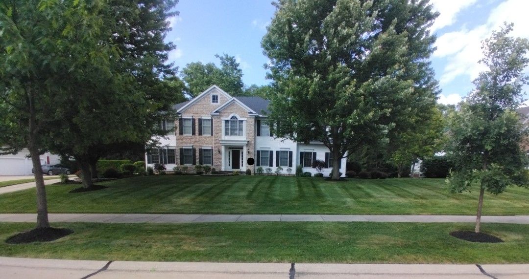 Early summer lawn care