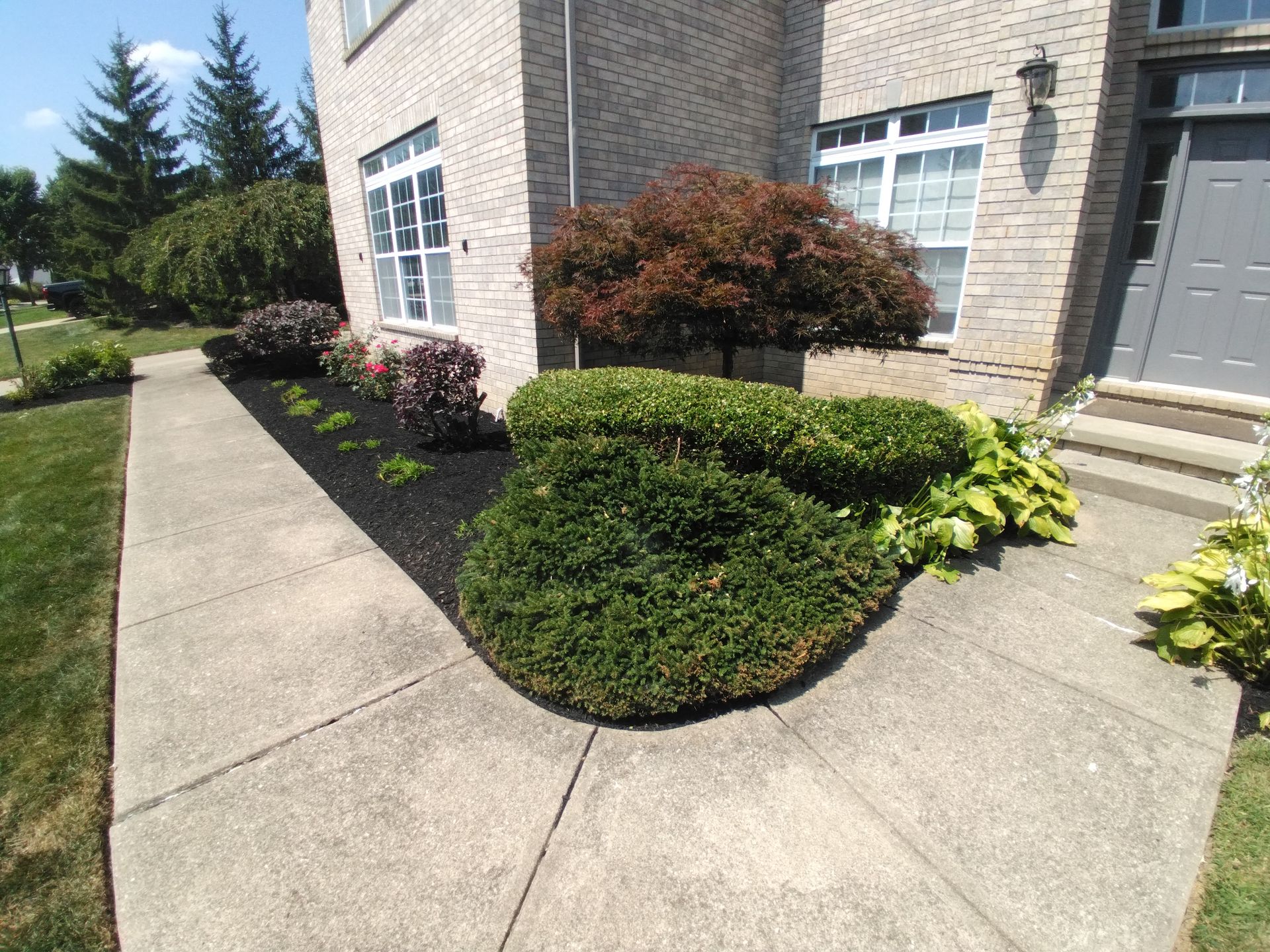 Late summer lawn maintenance